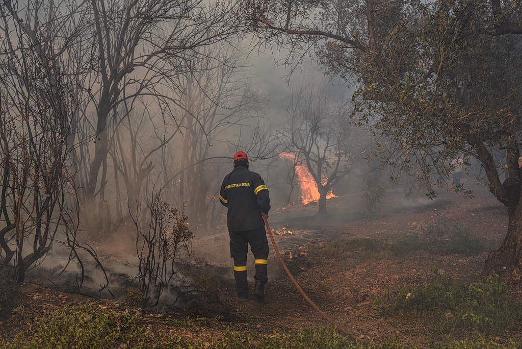 Φωτιά τώρα στην Αχλαδιά Σητείας | Επικαιρότητα στο PlusTV.gr