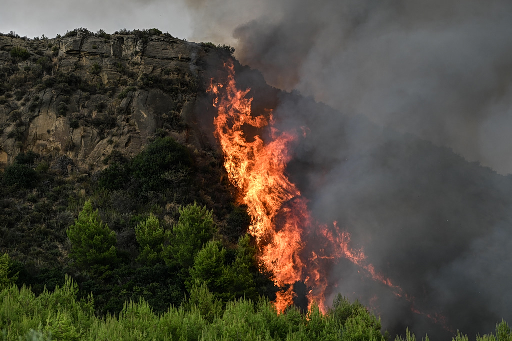 Φωτιά στο Μουζάκι Ηλείας – Επιχειρούν πάνω από 100 πυροσβέστες | Επικαιρότητα στο PlusTV.gr