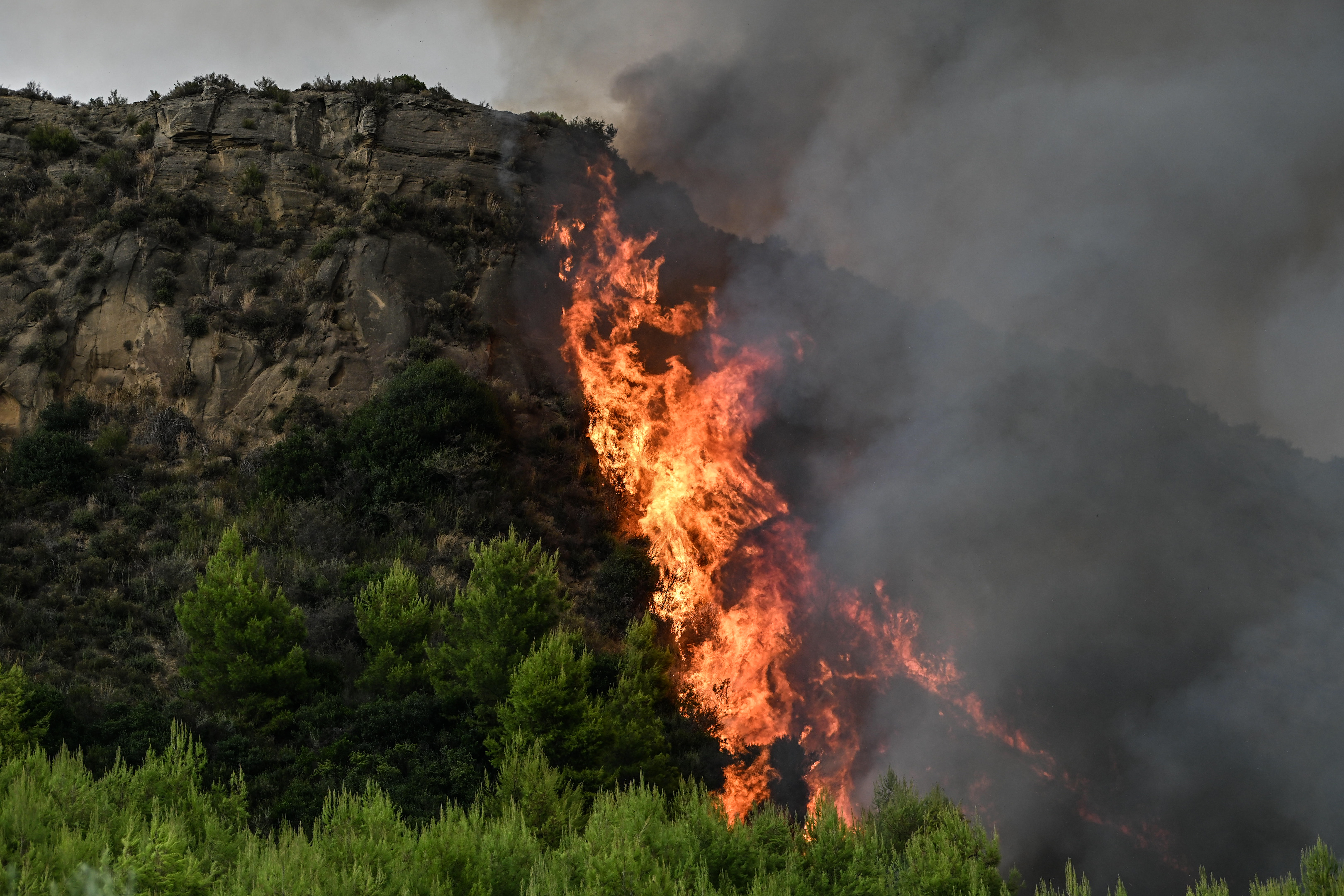 Φωτιά στο Μουζάκι Ηλείας - Επιχειρούν πάνω από 100 πυροσβέστες και 9 εναέρια