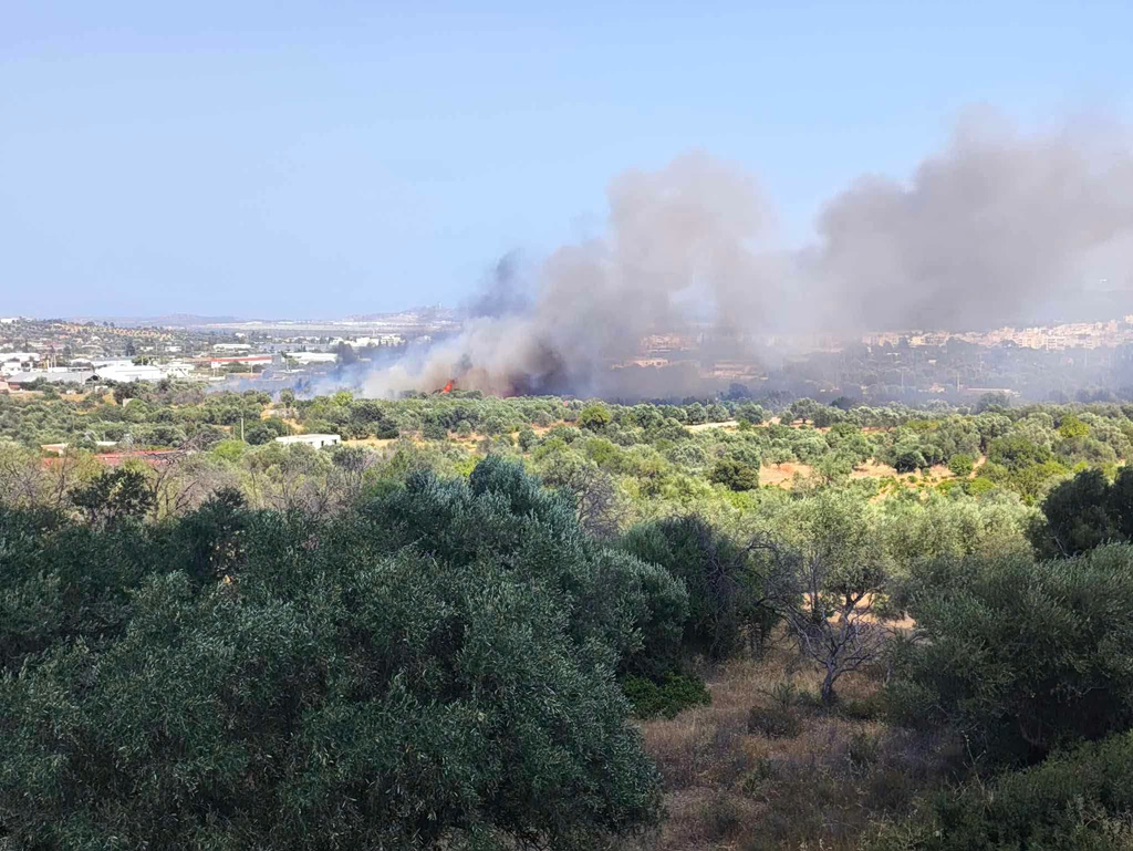 Φωτιά τώρα στο Κορωπί – Σηκώθηκαν 6 εναέρια, ήχησε το 112 | Επικαιρότητα στο PlusTV.gr