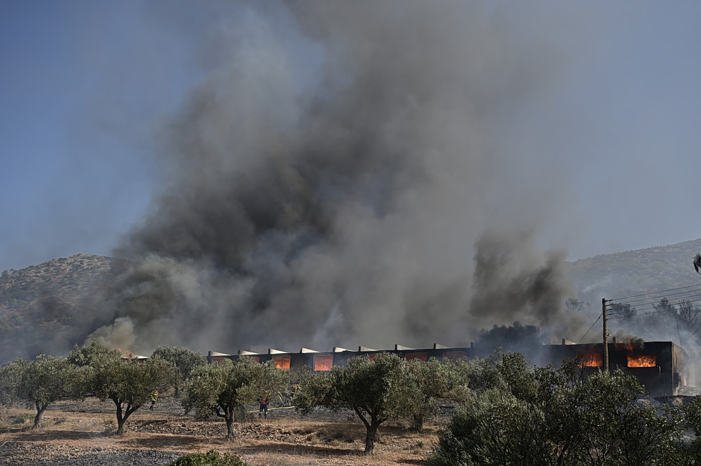 Φωτιά στον Κουβαρά Αττικής: Εκκενώθηκε ο Άγιος Στυλιανός – Όλες οι εξελίξεις | Επικαιρότητα στο PlusTV.gr