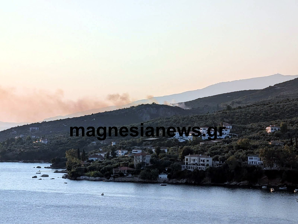 Φωτιά στο Νότιο Πήλιο – Μήνυμα από το 112 | Επικαιρότητα στο PlusTV.gr
