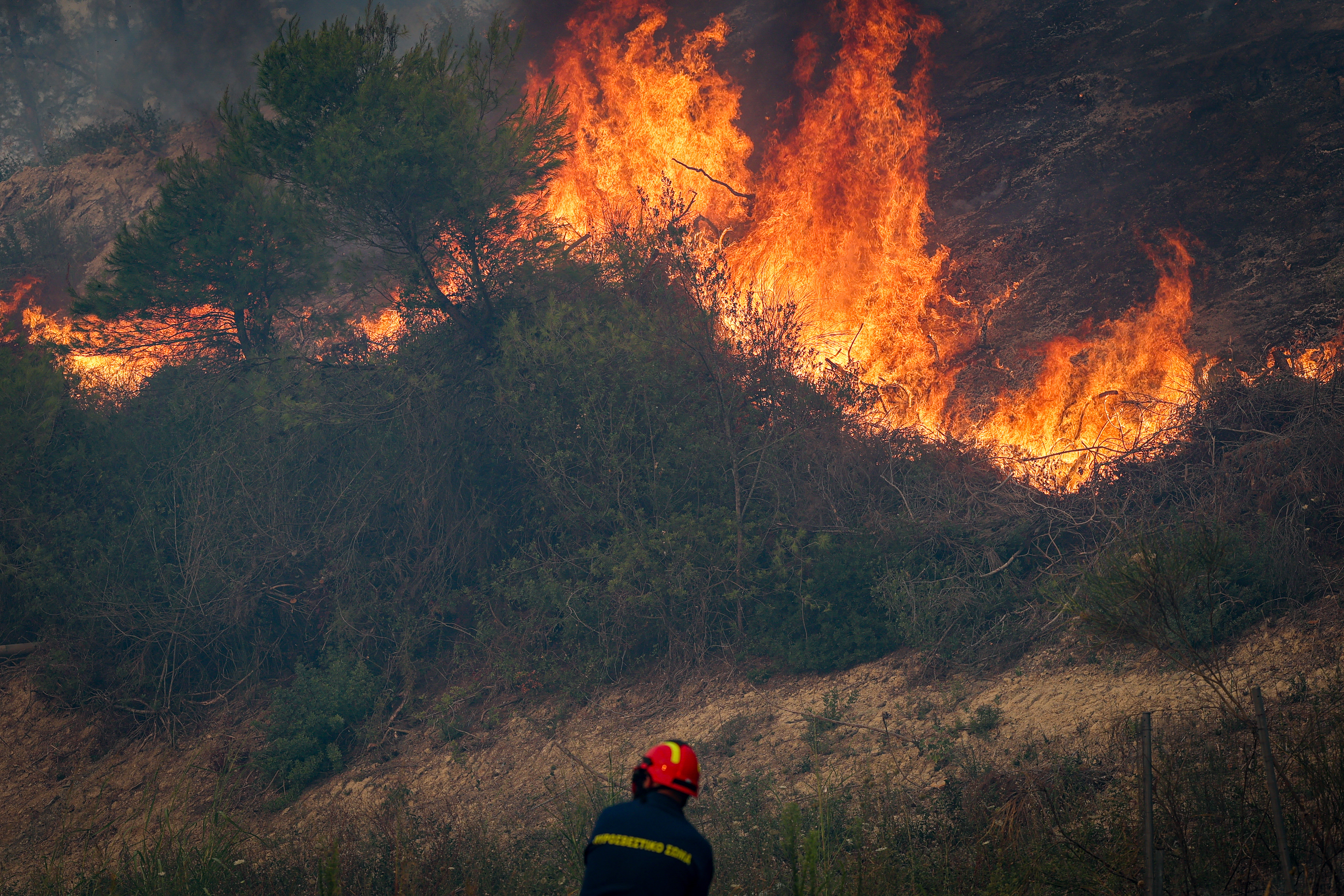 Πολύ υψηλός κίνδυνος πυρκαγιάς στις Περιφέρειες Κρήτης και Νοτίου Αιγαίου