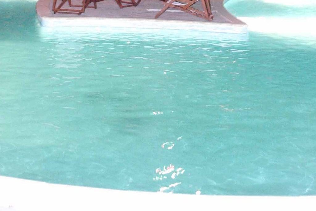 Πάρος: Σφραγίστηκε η πισίνα του beach bar όπου πνίγηκε ο 4χρονος | Επικαιρότητα στο PlusTV.gr