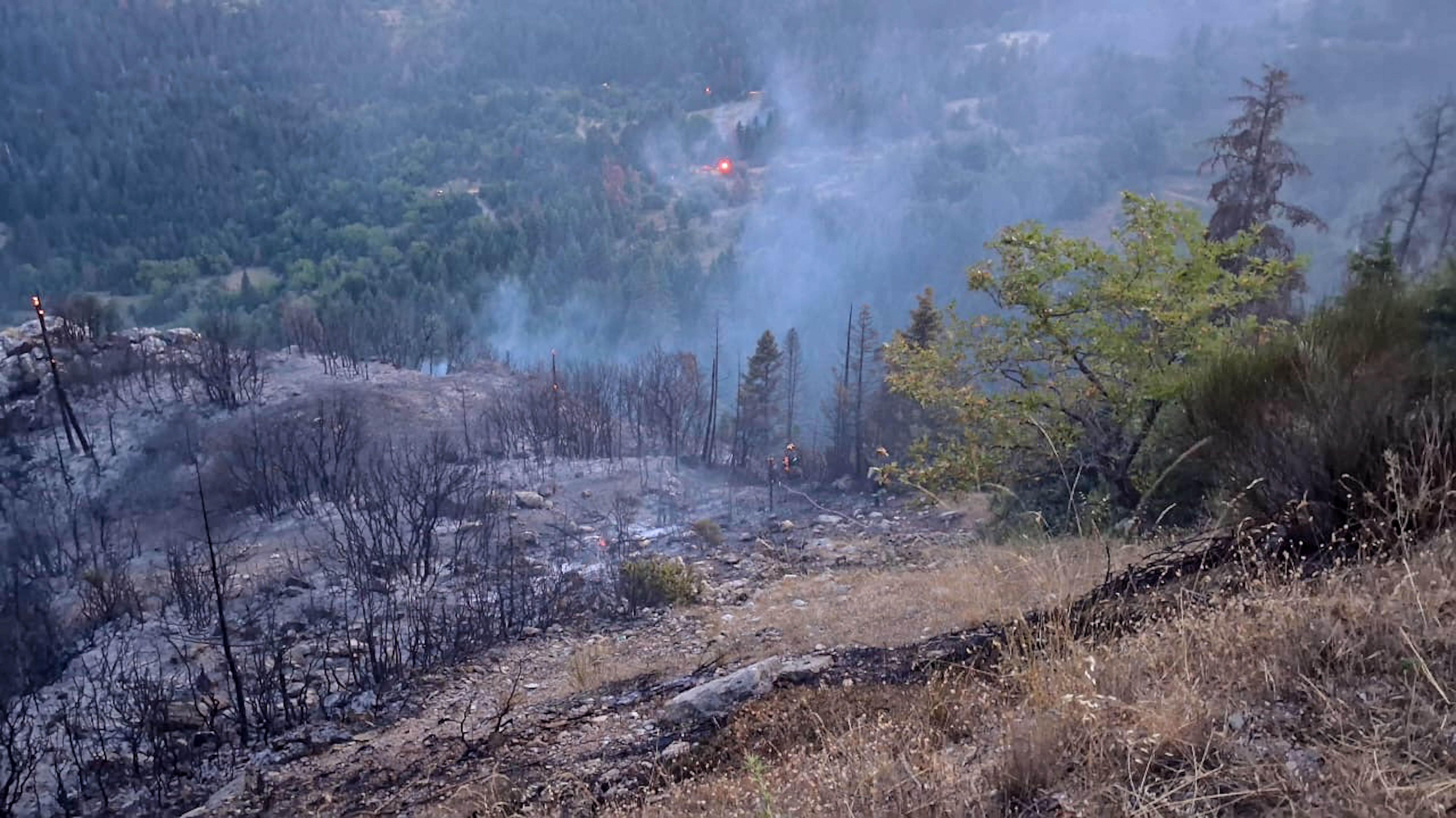 Φωτιά στη Σκύρο: Προς το Πεύκο το μέτωπο – Σηκώθηκαν τα ενάερια