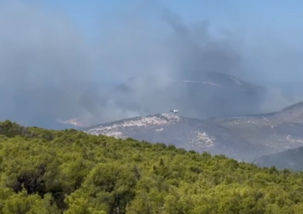 Φωτιά στη Σκύρο: Καλύτερη η εικόνα στο πύρινο μέτωπο, μάχη με αναζωπυρώσεις | Επικαιρότητα στο PlusTV.gr