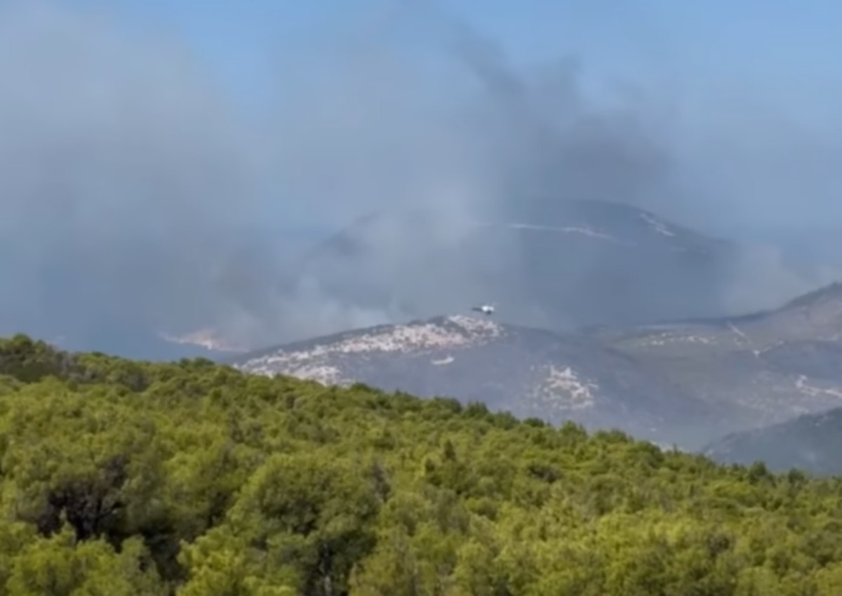Φωτιά στη Σκύρο: Καλύτερη η εικόνα στο πύρινο μέτωπο, μάχη με αναζωπυρώσεις