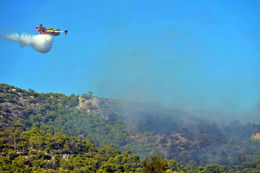 Φωτιά στην Κόνιτσα: Κινείται προς χαράδρα Αώου – Επιχειρούν 7 ελικόπτερα | Επικαιρότητα στο PlusTV.gr