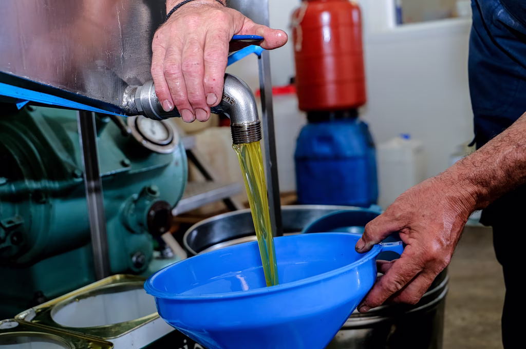 Ελαιόλαδο: Τι προβλέπεται για τη σεζόν – Οι πιέσεις σε τιμή και παραγωγό, οι δύο όψεις | Επικαιρότητα στο PlusTV.gr