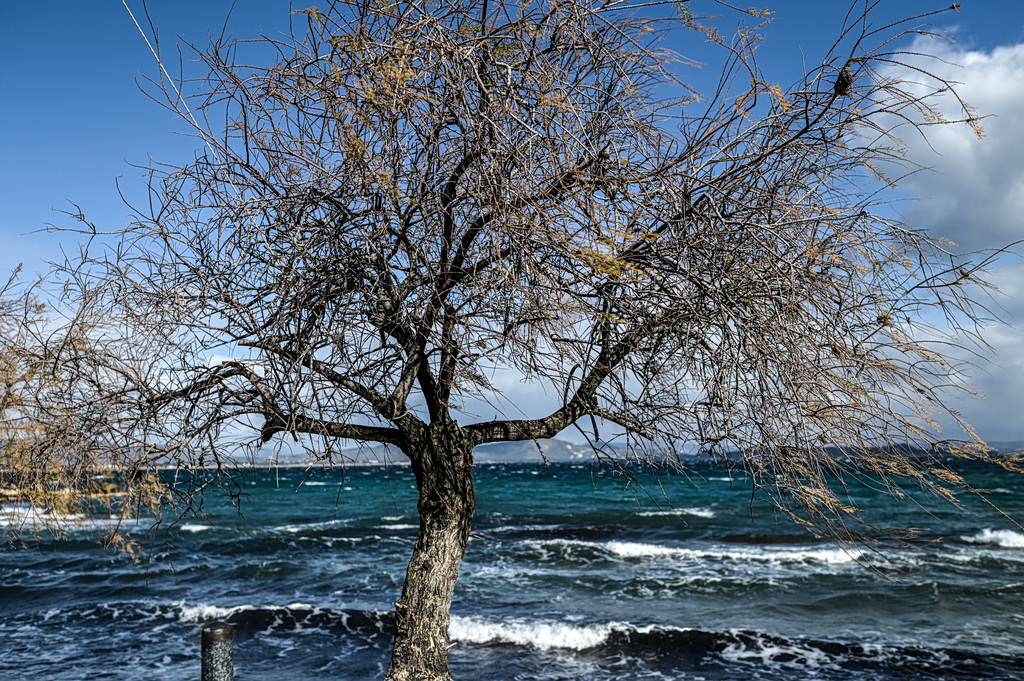 Καιρός: Πέφτει η θερμοκρασία το επόμενο 15ήμερο – Η πρόγνωση Κολυδά | Επικαιρότητα στο PlusTV.gr