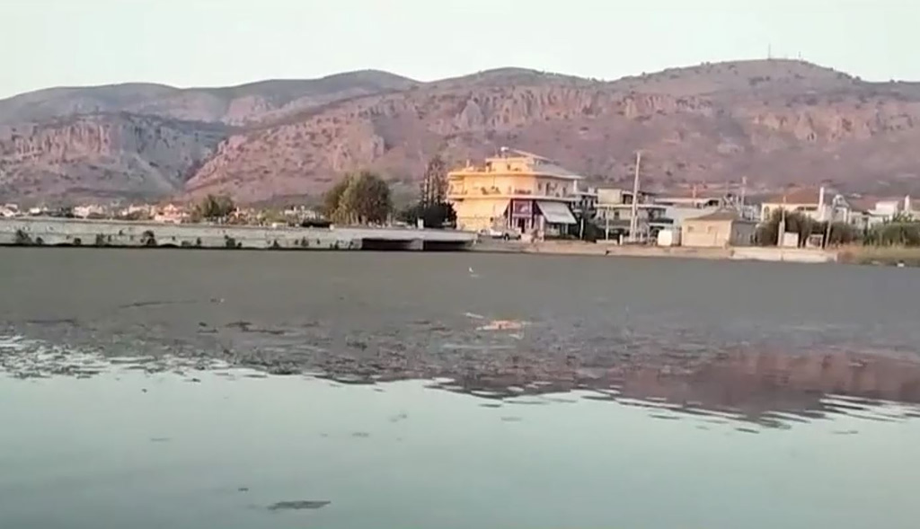 Λιμνοθάλασσα Μεσολογγίου: Γέμισε από λύματα, άδειασε από ψάρια | Επικαιρότητα στο LivePress.gr