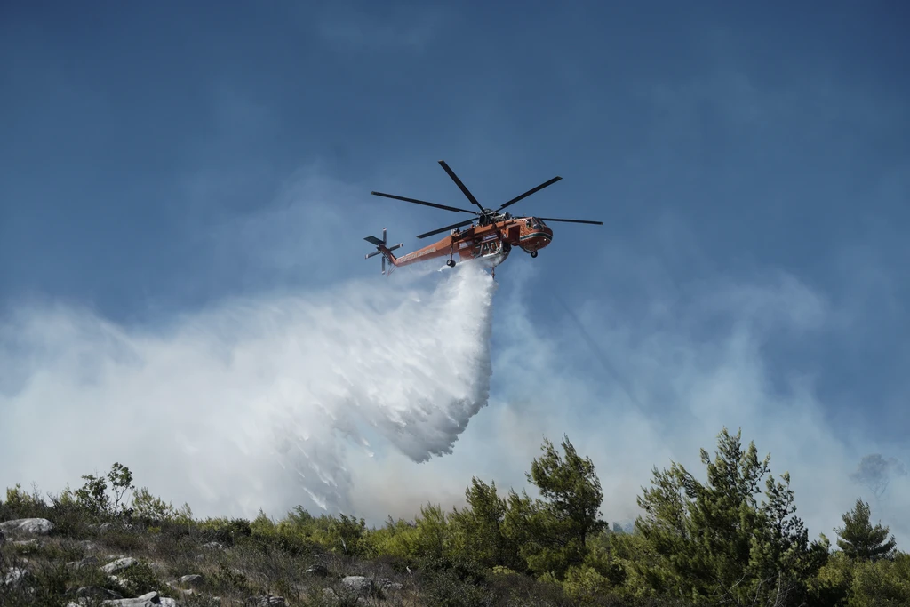 Φωτιά στην Κεφαλονιά – Εκκενώνονται τρεις οικισμοί | Επικαιρότητα στο PlusTV.gr