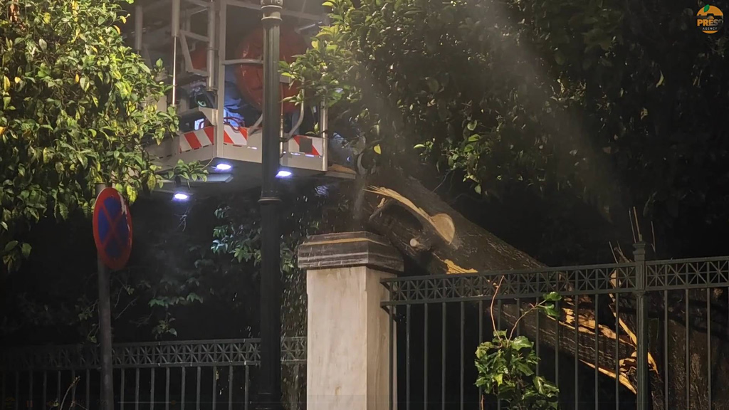 Έπεσε δέντρο στην Ηρώδου Αττικού: Κλειστός ο δρόμος στο Μέγαρο Μαξίμου | Επικαιρότητα στο PlusTV.gr