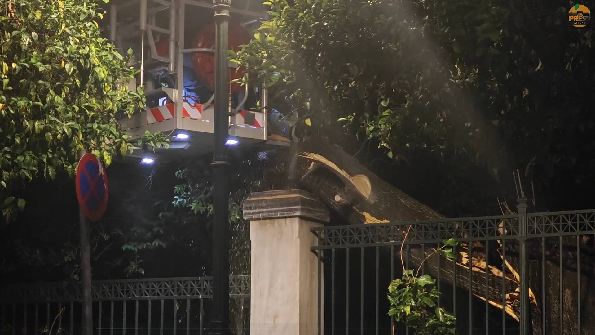 Συναγερμός στο Μαξίμου: Έπεσε μεγάλο δέντρο στην Ηρώδου Αττικού - Κλειστός ο δρόμος