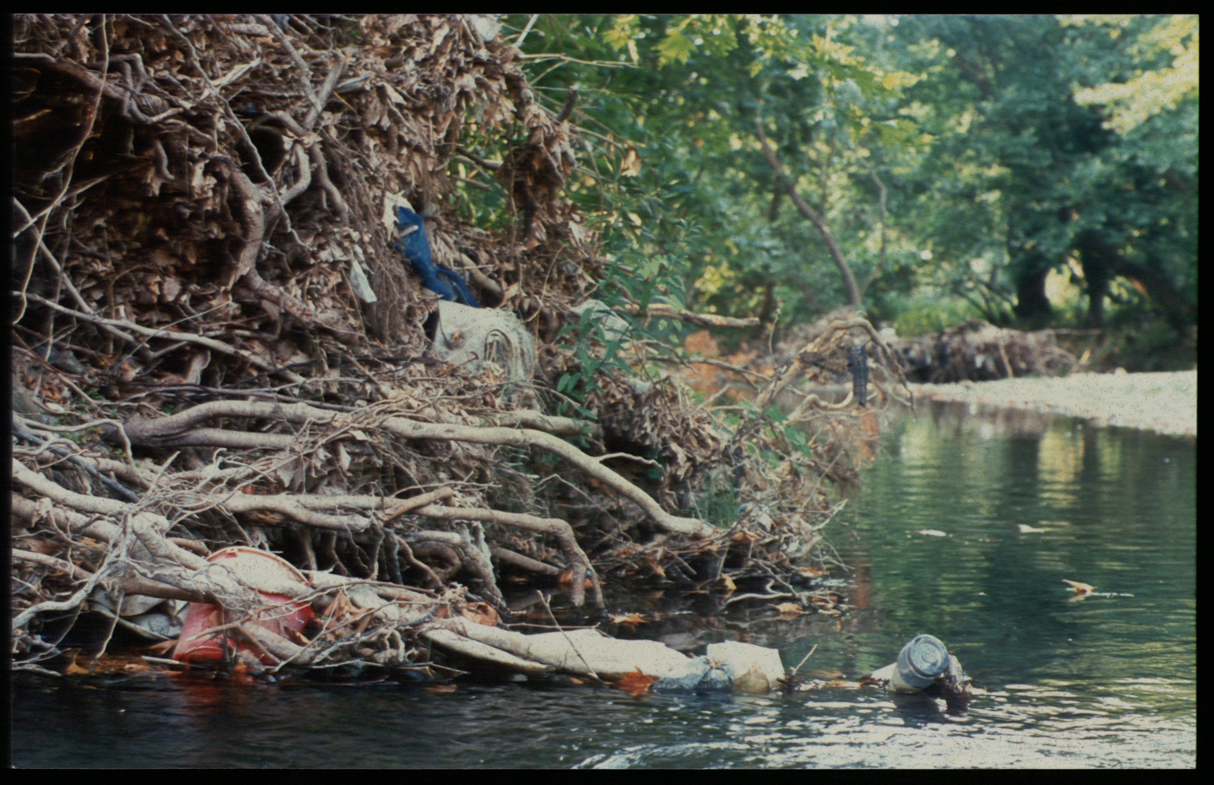 Υποβάθμιση του περιβάλλοντος βλέπουν  περιβαλλοντικές οργανώσεις